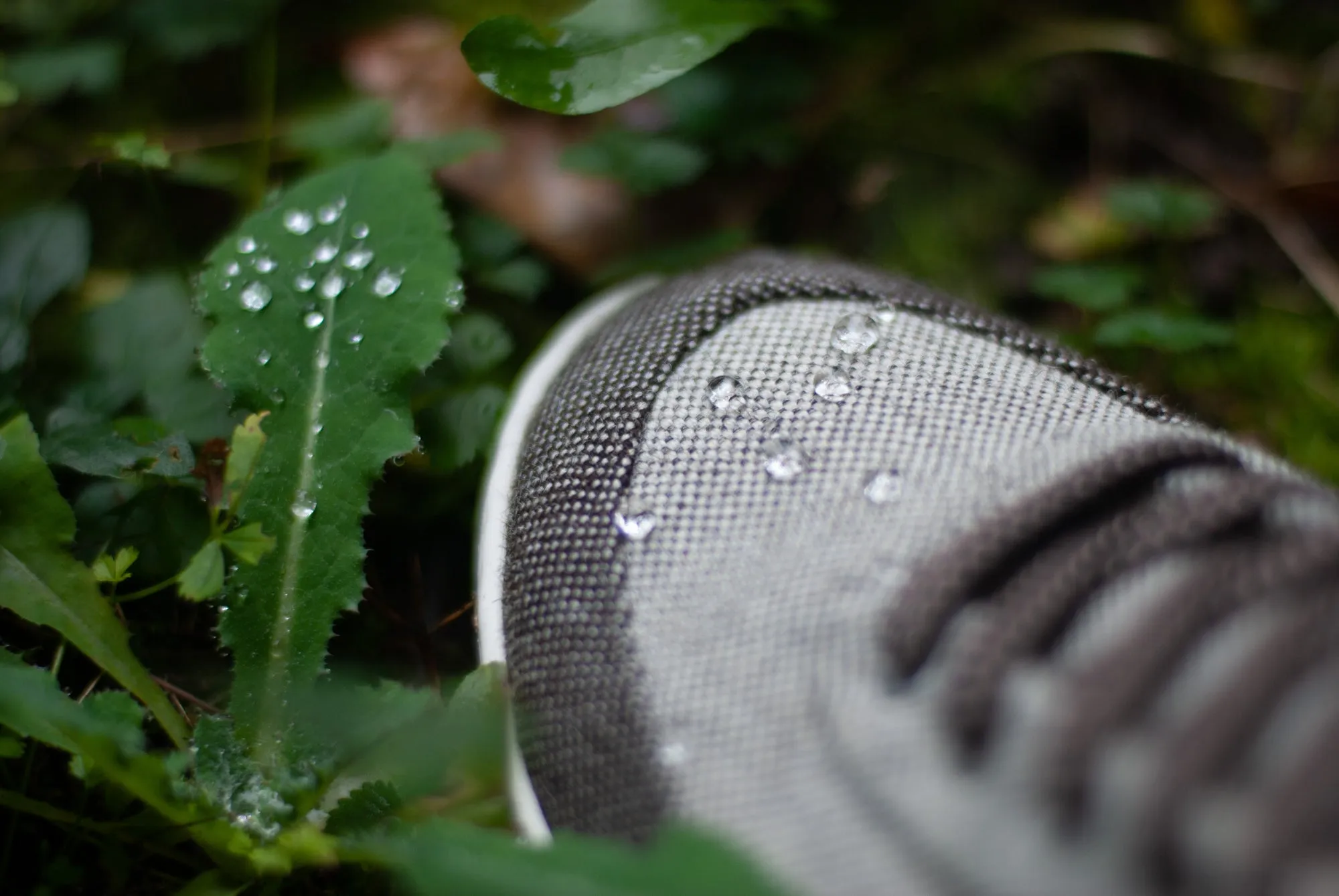 CLAY Kaolin Sneakers