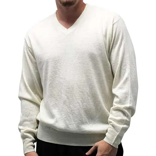 Men's Solid V Neck Sweater- 6 Colors