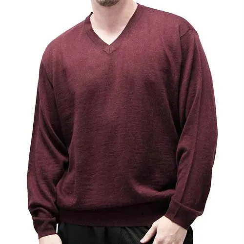 Men's Solid V Neck Sweater- 6 Colors