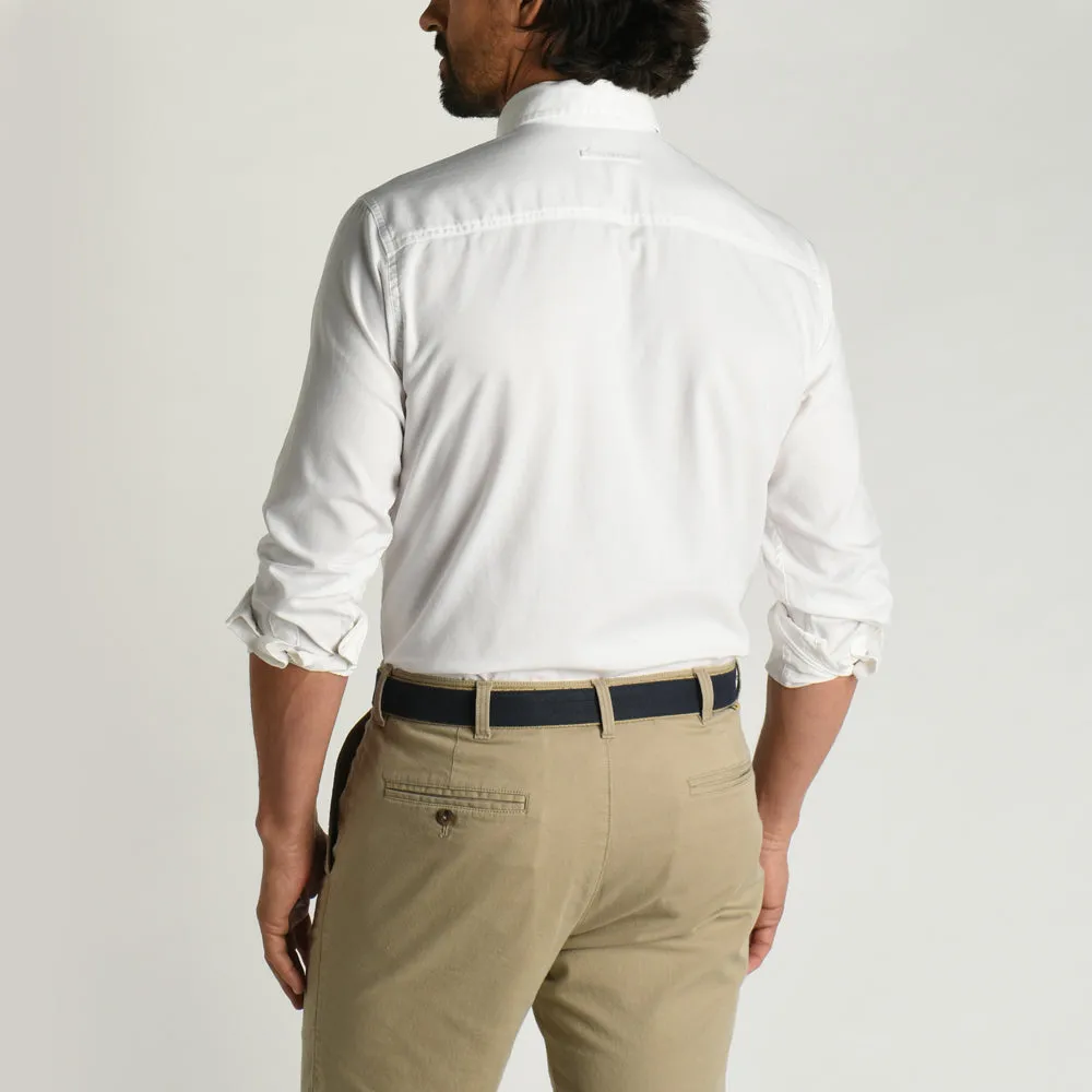 Morris Solid Cotton Oxford Sport Shirt