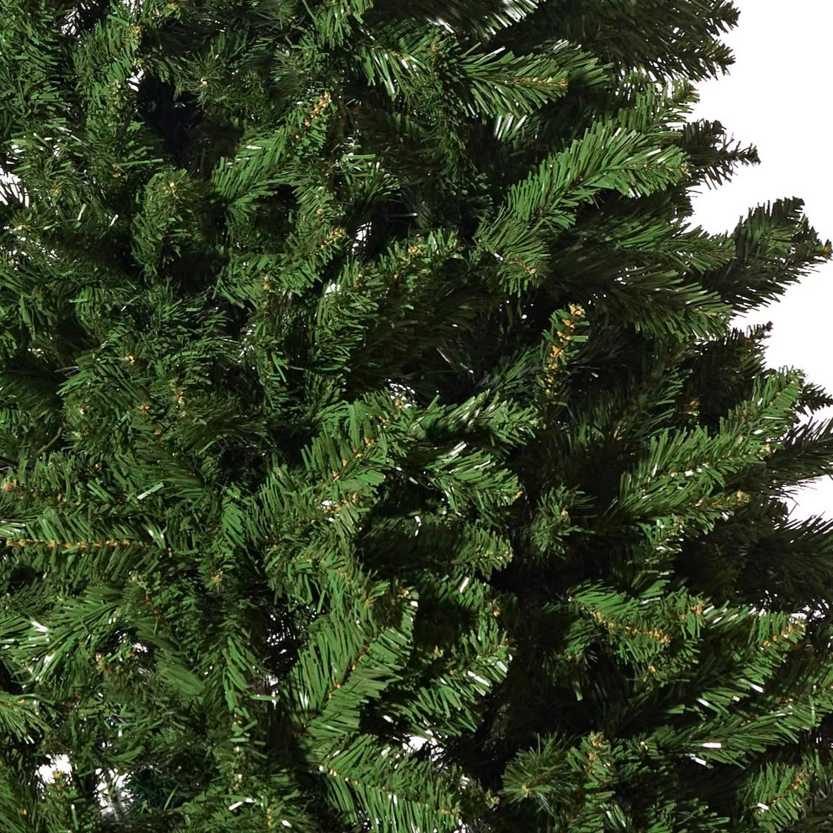 Radiata Pine 6ft (1.8m)