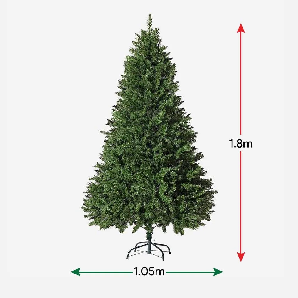 Radiata Pine 6ft (1.8m)