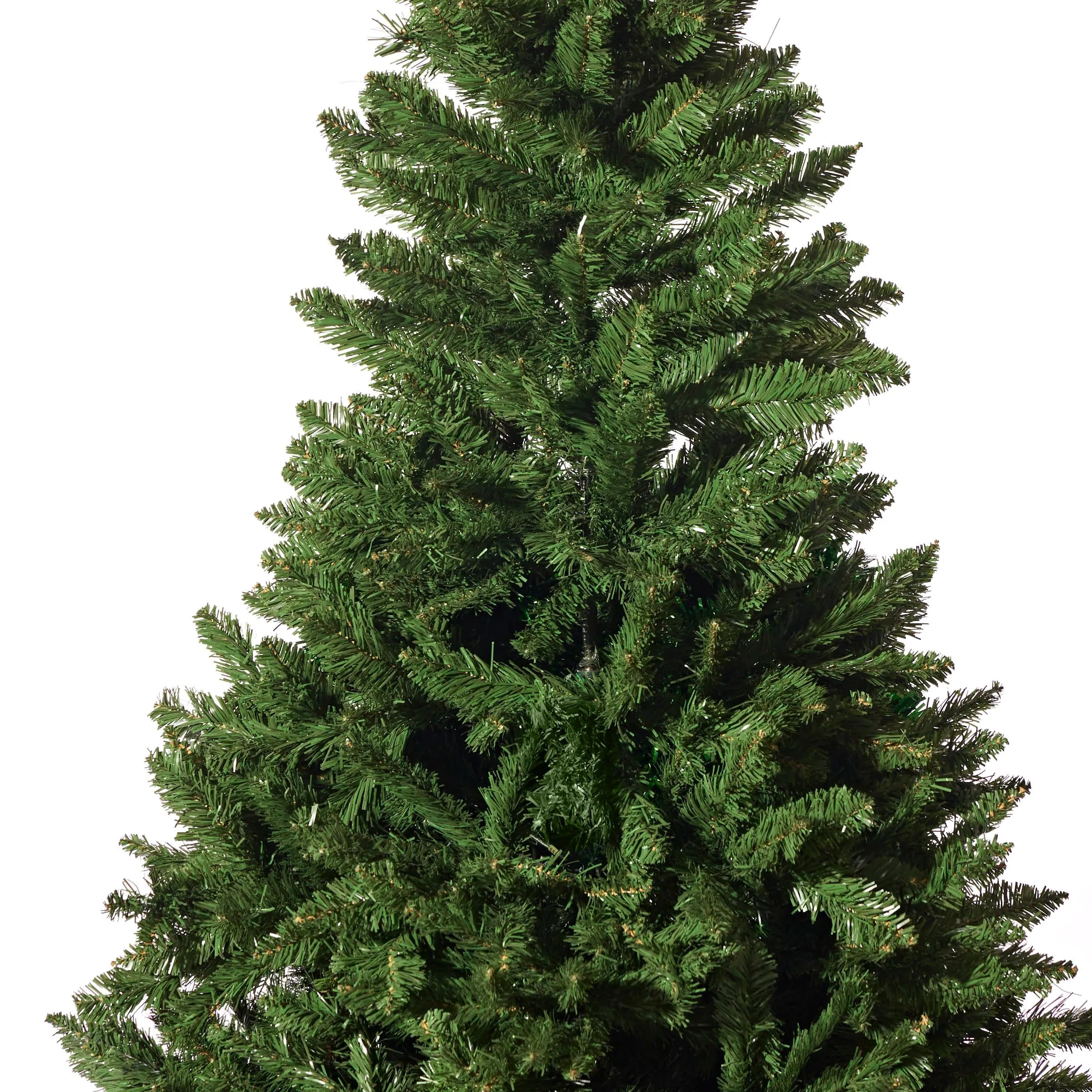 Radiata Pine Tree 5ft (1.5m)