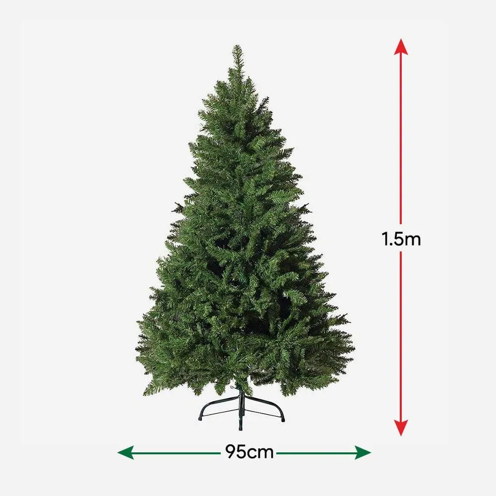 Radiata Pine Tree 5ft (1.5m)