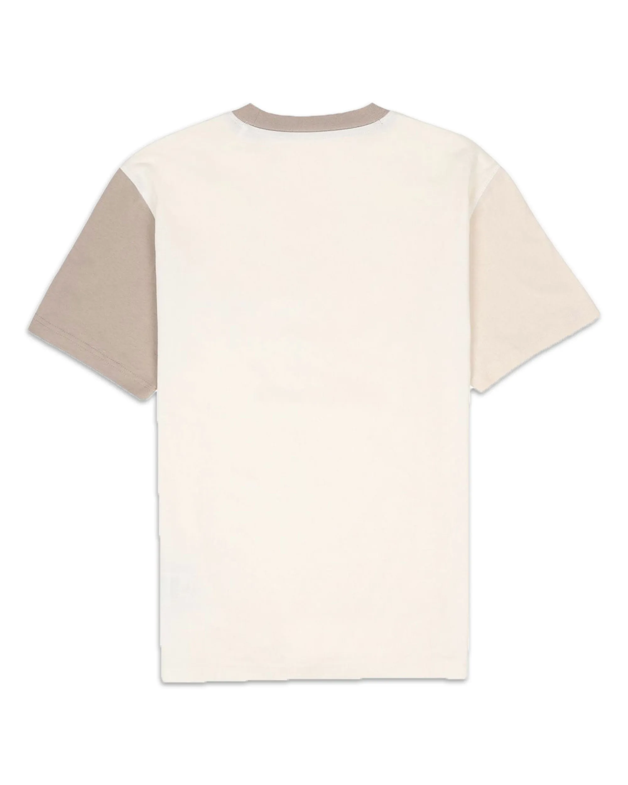 T-Shirt Dickies Eddyville Tee SS Cloud